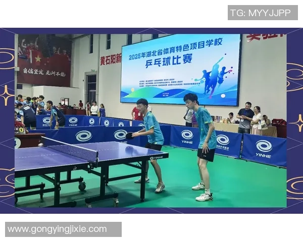 武汉乒乓球队在锦标赛中的比赛经验与表现深度解析