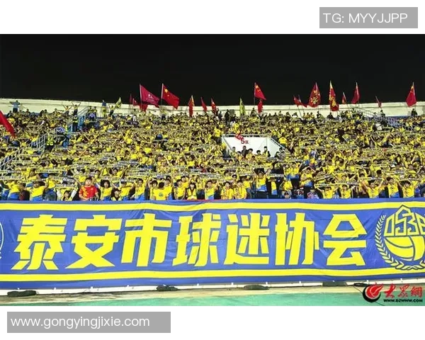 武汉足球队实力引发热议球迷观点各异引发讨论