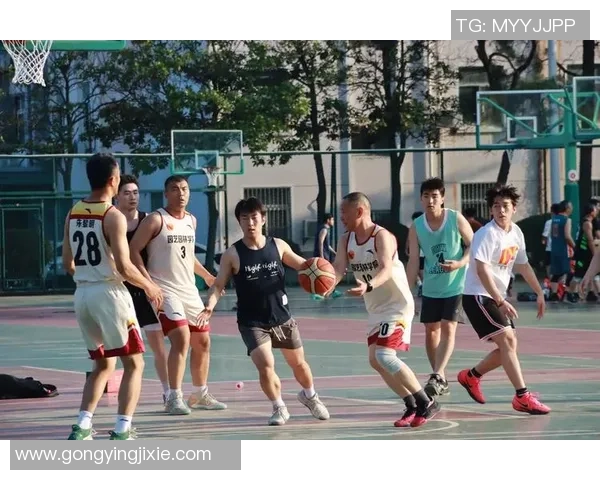 篮球热议：杭州篮球队的团队协作争议