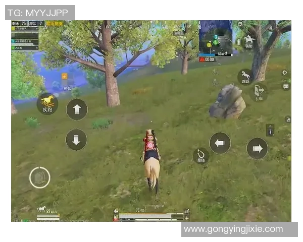 2026和平精英心理素质排行榜：V5位居第1名